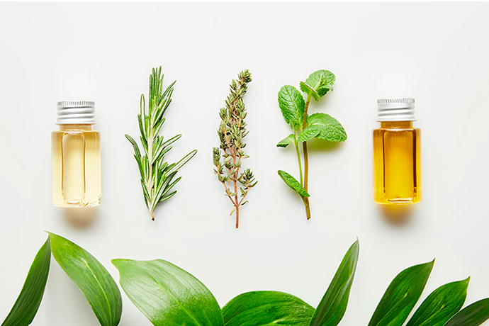 Viaje Sensorial: Aromaterapia para la Relajación y el Equilibrio Emocional